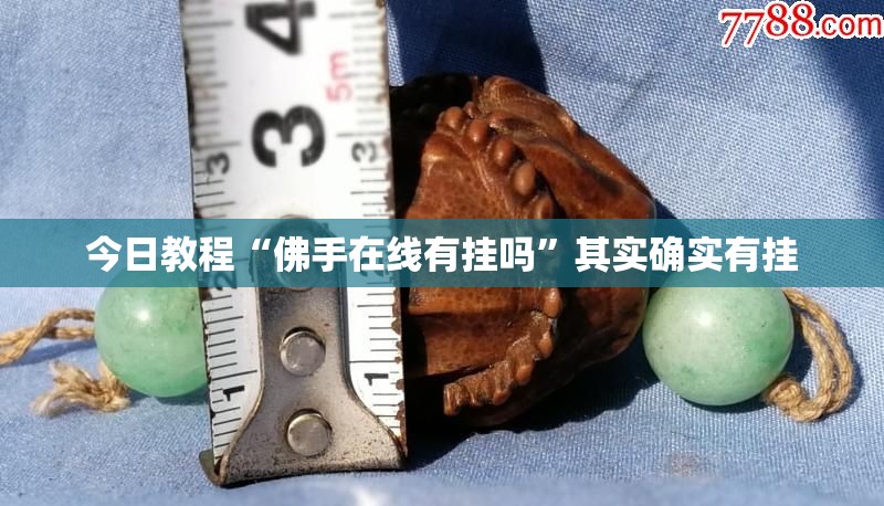 今日教程“佛手在线有挂吗”其实确实有挂