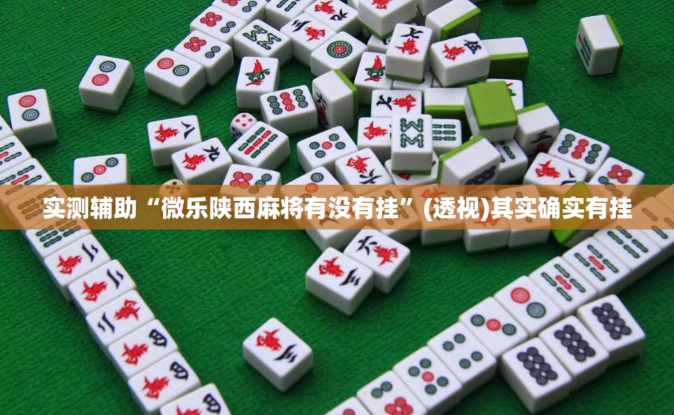 实测辅助“微乐陕西麻将有没有挂”(透视)其实确实有挂