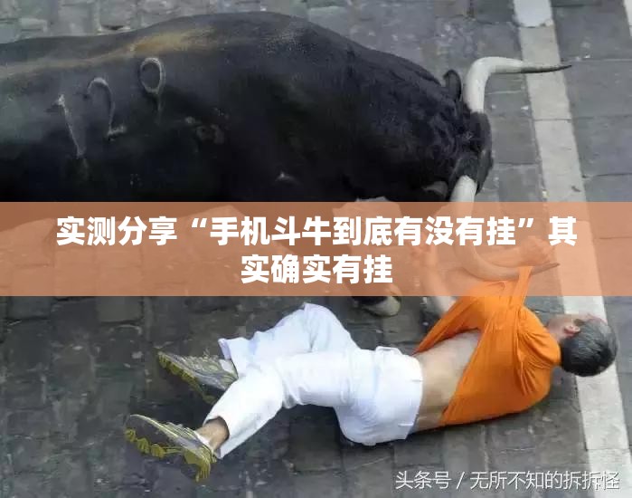 实测分享“手机斗牛到底有没有挂”其实确实有挂