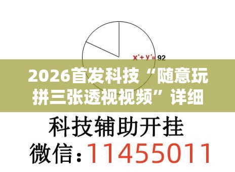 2026首发科技“随意玩拼三张透视视频”详细开挂教程