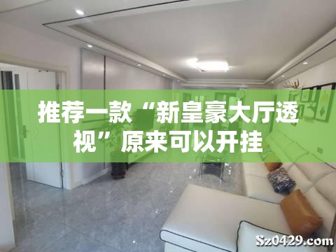 推荐一款“新皇豪大厅透视”原来可以开挂