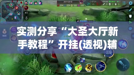 实测分享“大圣大厅新手教程”开挂(透视)辅助神器