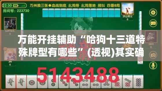 万能开挂辅助“哈狗十三道特殊牌型有哪些”(透视)其实确实有挂