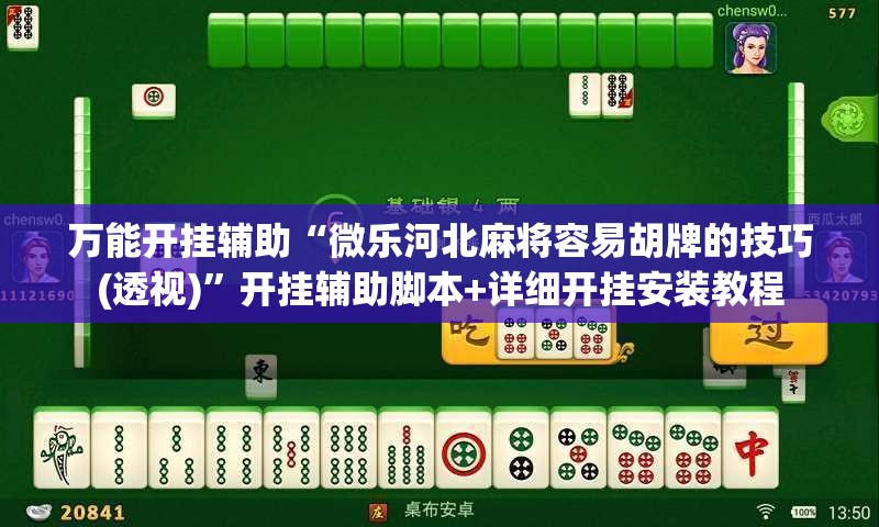 万能开挂辅助“微乐河北麻将容易胡牌的技巧(透视)	”开挂辅助脚本+详细开挂安装教程