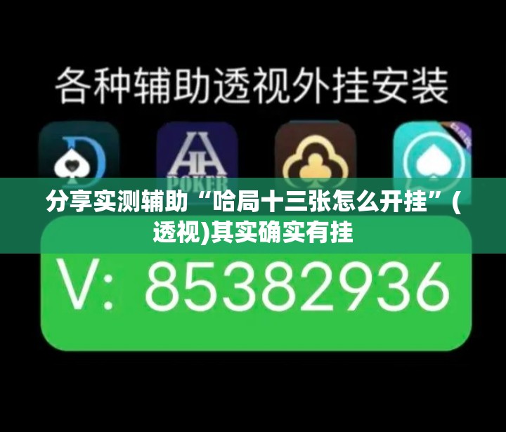 分享实测辅助“哈局十三张怎么开挂	”(透视)其实确实有挂