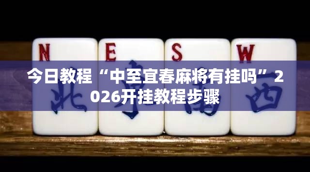 今日教程“中至宜春麻将有挂吗”2026开挂教程步骤