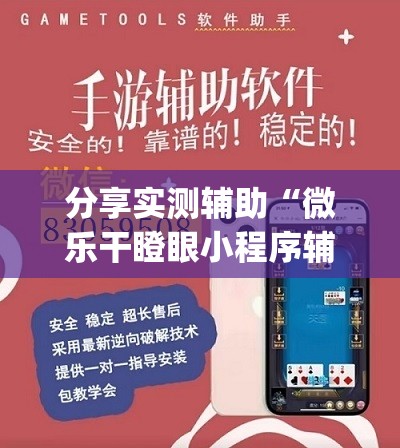 分享实测辅助“微乐干瞪眼小程序辅助器”(透视挂)辅助下载教程