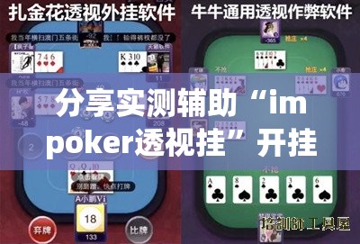 分享实测辅助“impoker透视挂”开挂详细教程