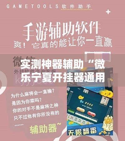 实测神器辅助“微乐宁夏开挂器通用版”细辅助教程分享
