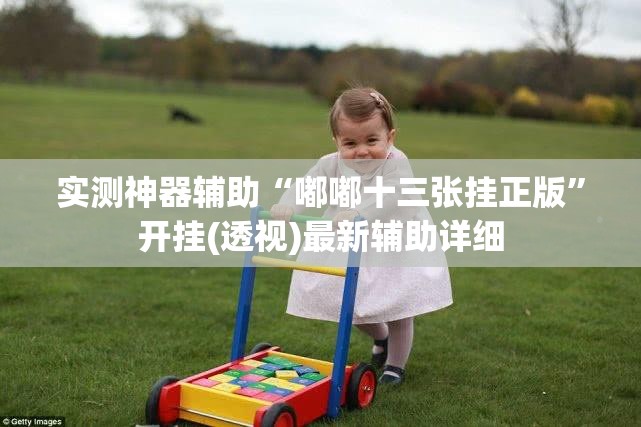 实测神器辅助“嘟嘟十三张挂正版”开挂(透视)最新辅助详细