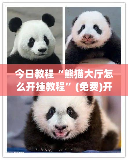 今日教程“熊猫大厅怎么开挂教程	”(免费)开挂辅助教学(最新辅助开挂教程)