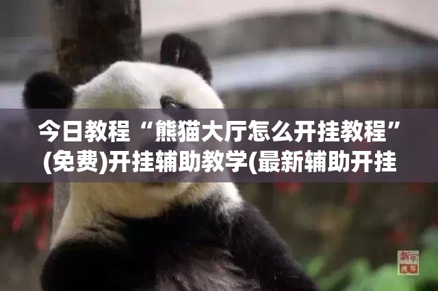 今日教程“熊猫大厅怎么开挂教程”(免费)开挂辅助教学(最新辅助开挂教程)
