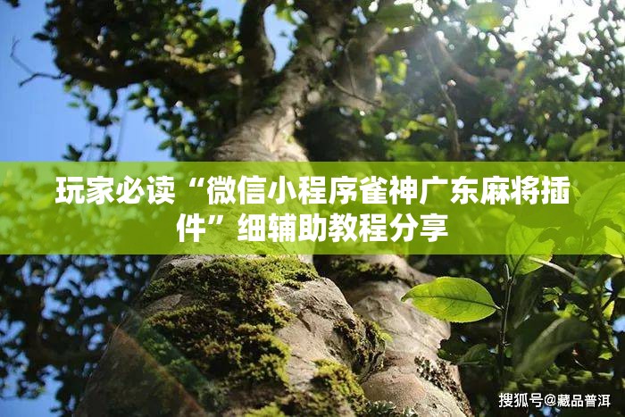 玩家必读“微信小程序雀神广东麻将插件	”细辅助教程分享