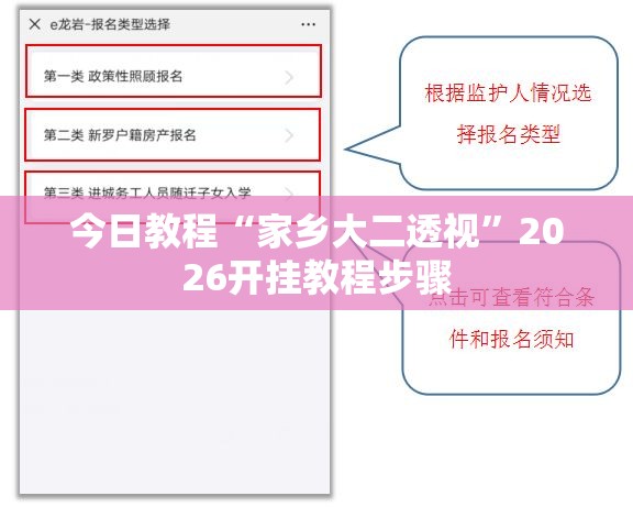 今日教程“家乡大二透视”2026开挂教程步骤