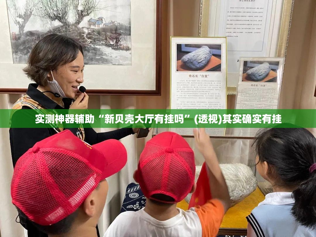 实测神器辅助“新贝壳大厅有挂吗”(透视)其实确实有挂
