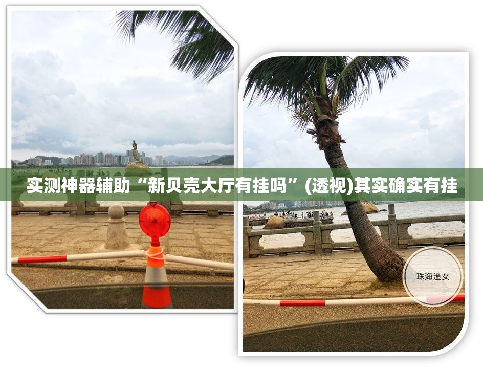 实测神器辅助“新贝壳大厅有挂吗	”(透视)其实确实有挂