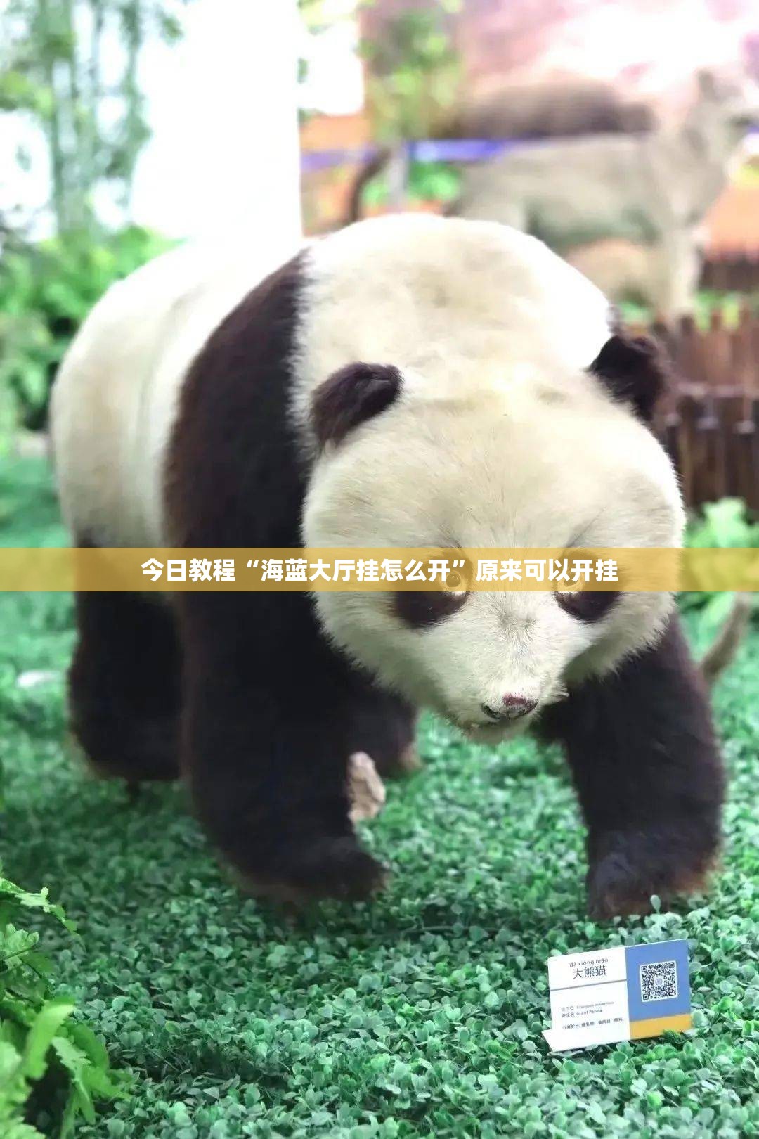 今日教程“海蓝大厅挂怎么开”原来可以开挂