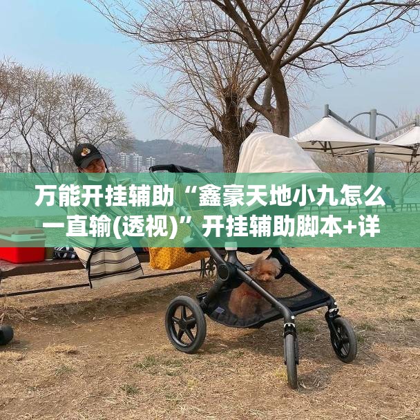 万能开挂辅助“鑫豪天地小九怎么一直输(透视)”开挂辅助脚本+详细开挂安装教程