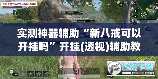 实测神器辅助“新八戒可以开挂吗”开挂(透视)辅助教程