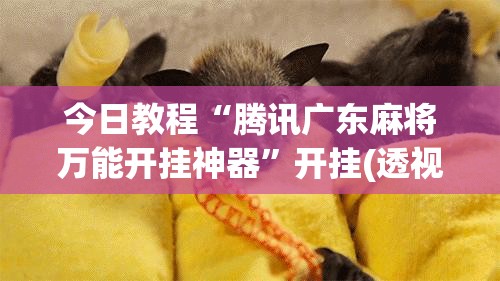 今日教程“腾讯广东麻将万能开挂神器”开挂(透视)辅助教程