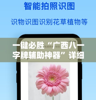一键必胜“广西八一字牌辅助神器	”详细开挂教程