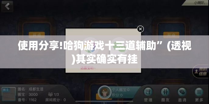 使用分享!哈狗游戏十三道辅助	”(透视)其实确实有挂