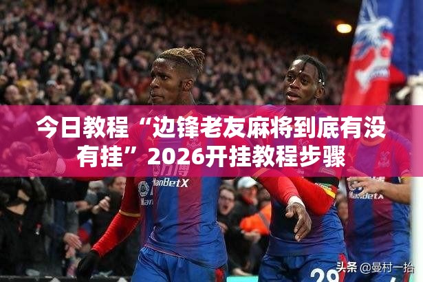 今日教程“边锋老友麻将到底有没有挂”2026开挂教程步骤