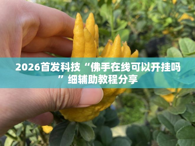 2026首发科技“佛手在线可以开挂吗”细辅助教程分享
