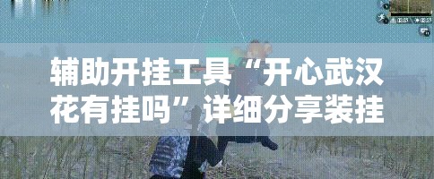 辅助开挂工具“开心武汉花有挂吗”详细分享装挂步骤