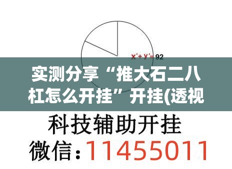 实测分享“推大石二八杠怎么开挂”开挂(透视)辅助教程