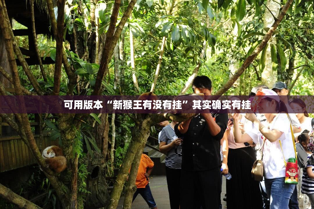 可用版本“新猴王有没有挂”其实确实有挂