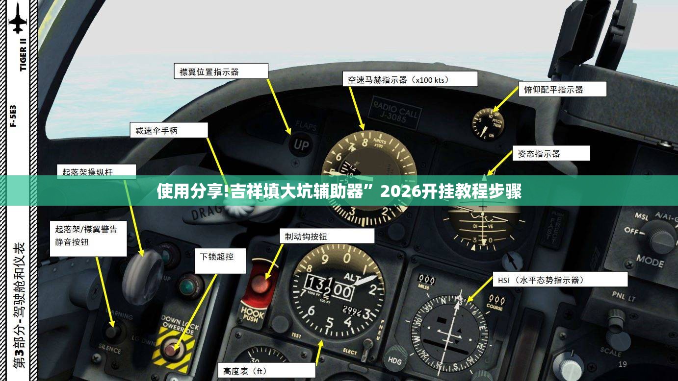 使用分享!吉祥填大坑辅助器”2026开挂教程步骤