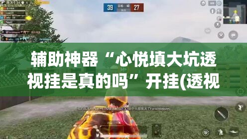 辅助神器“心悦填大坑透视挂是真的吗”开挂(透视)辅助教程
