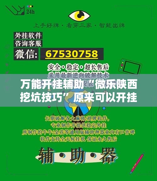 万能开挂辅助“微乐陕西挖坑技巧”原来可以开挂