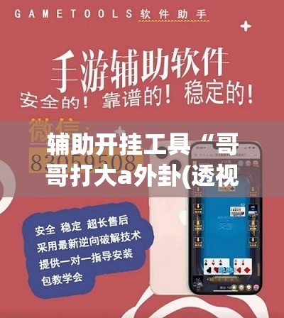 辅助开挂工具“哥哥打大a外卦(透视)”开挂辅助脚本+详细开挂安装教程