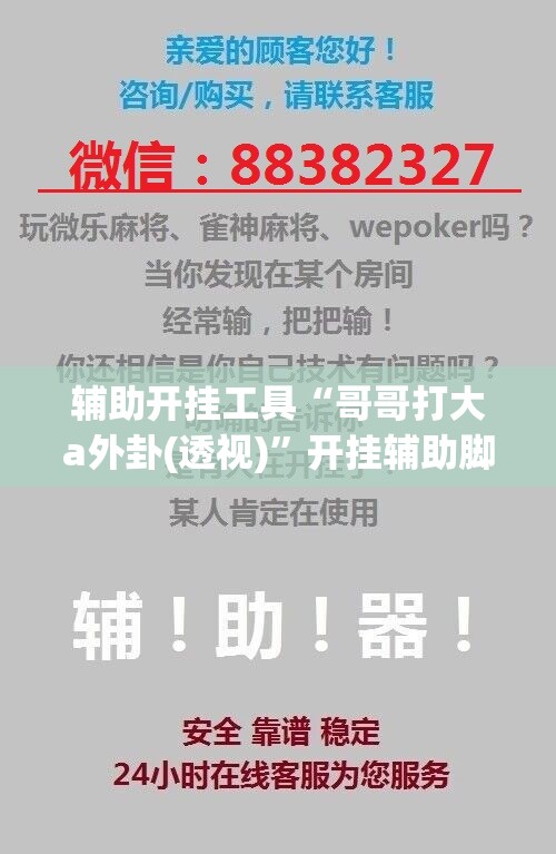 辅助开挂工具“哥哥打大a外卦(透视)”开挂辅助脚本+详细开挂安装教程