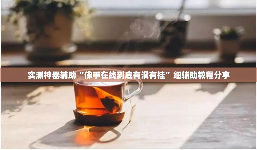 实测神器辅助“佛手在线到底有没有挂”细辅助教程分享
