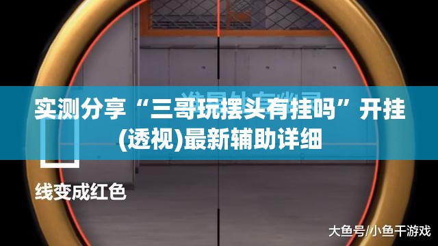实测分享“三哥玩摆头有挂吗”开挂(透视)最新辅助详细