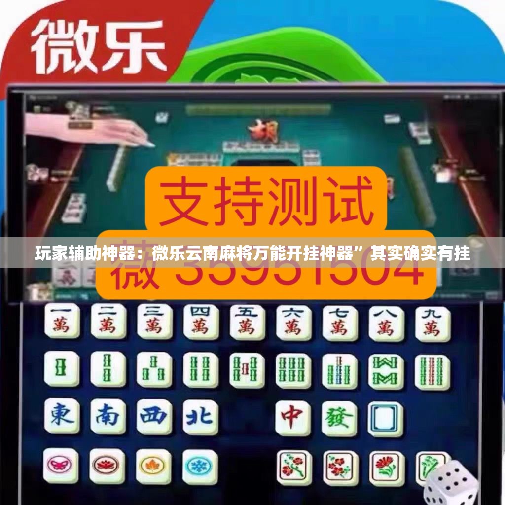 玩家辅助神器：微乐云南麻将万能开挂神器	”其实确实有挂