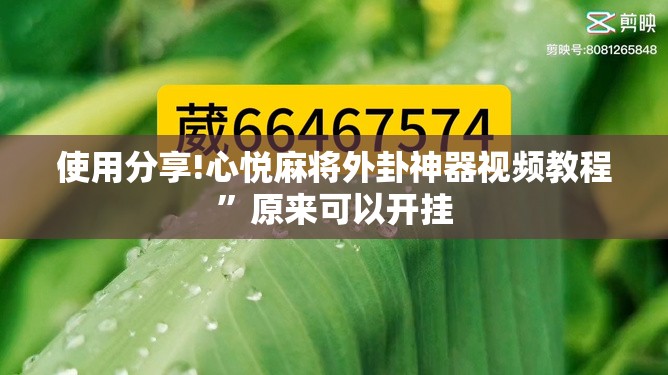 使用分享!心悦麻将外卦神器视频教程”原来可以开挂