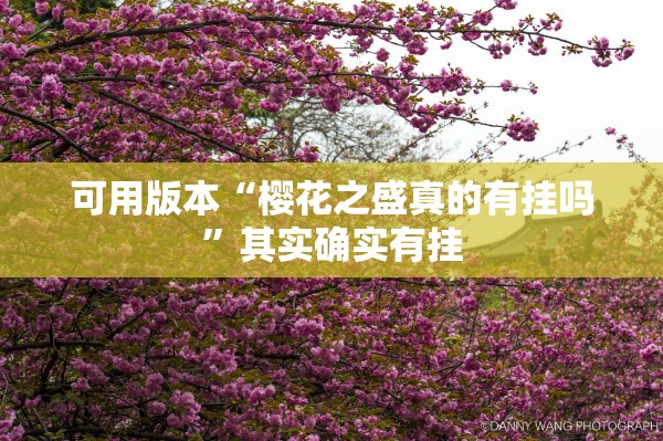 可用版本“樱花之盛真的有挂吗”其实确实有挂