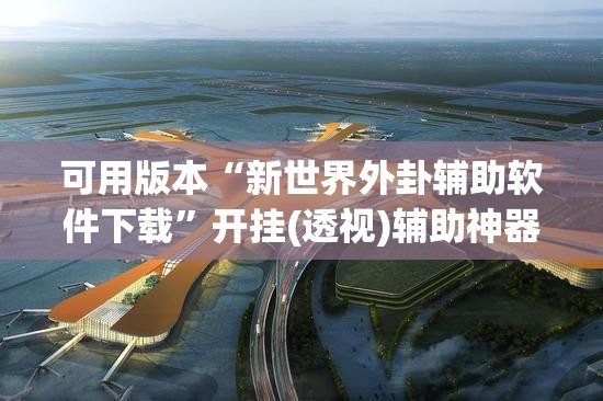 可用版本“新世界外卦辅助软件下载”开挂(透视)辅助神器