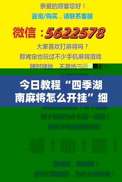 今日教程“四季湖南麻将怎么开挂”细辅助教程分享