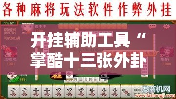 开挂辅助工具“掌酷十三张外卦辅助软件下载”细辅助教程分享