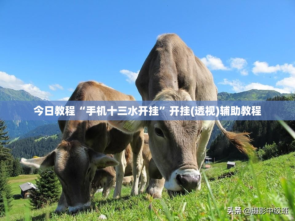 今日教程“手机十三水开挂”开挂(透视)辅助教程