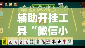 辅助开挂工具“微信小程序中至麻将到底有没有挂”原来可以开挂