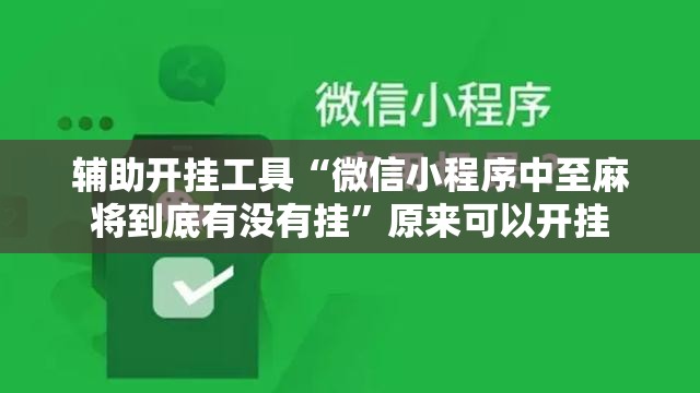 辅助开挂工具“微信小程序中至麻将到底有没有挂”原来可以开挂