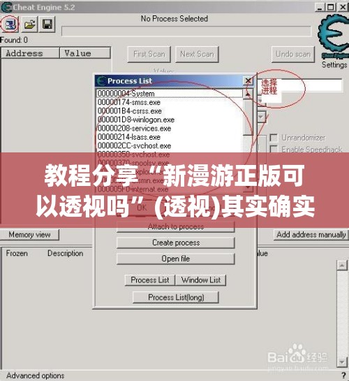 教程分享“新漫游正版可以透视吗”(透视)其实确实有挂