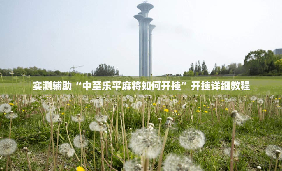 实测辅助“中至乐平麻将如何开挂”开挂详细教程