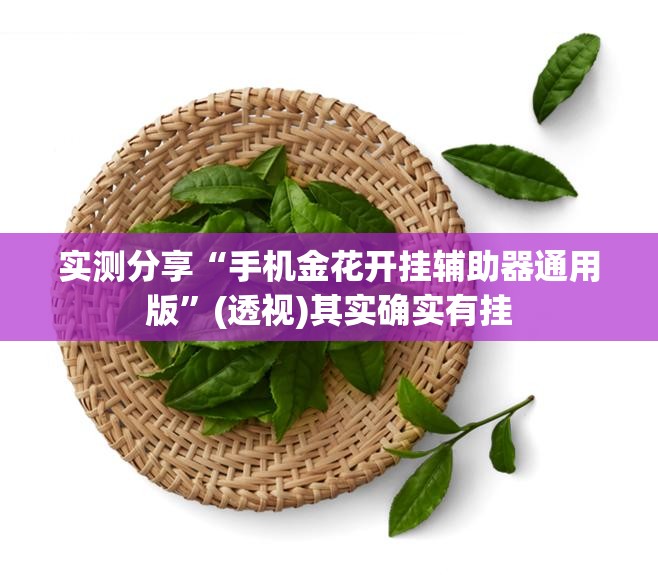实测分享“手机金花开挂辅助器通用版”(透视)其实确实有挂